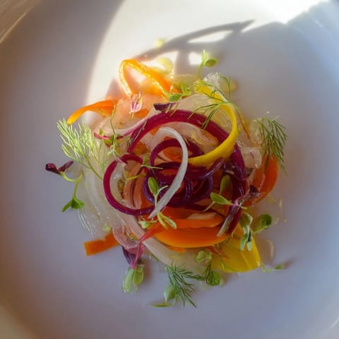 The Spinning Top salad showcases vibrant, thinly sliced vegetables artfully arranged for serving.